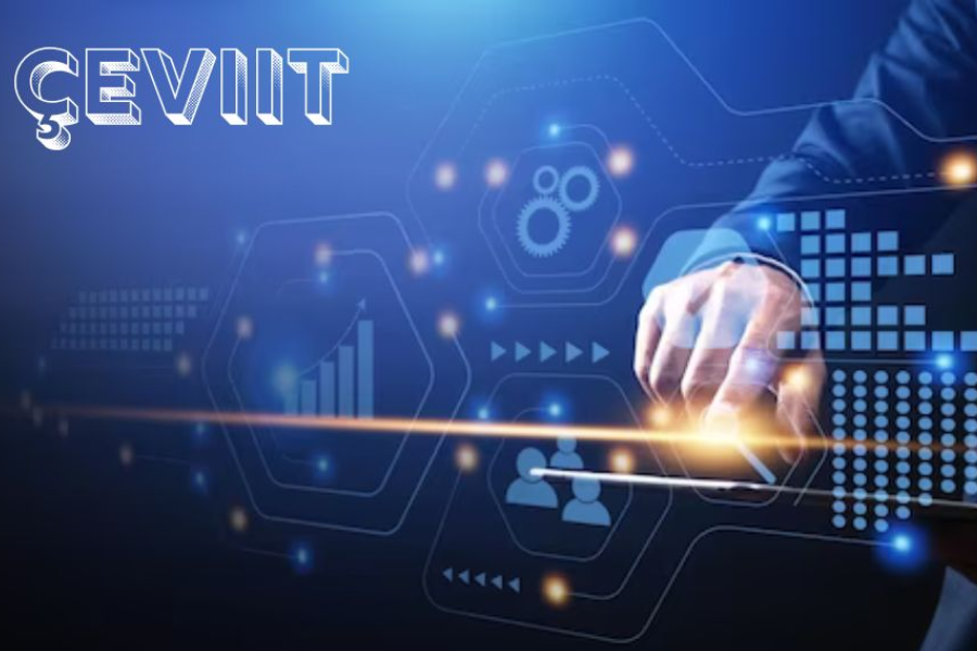 Efficient Project Administration with Çeviit
