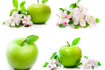 Green Apple Perfume