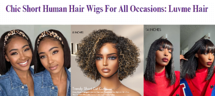 Human Hair Wigs