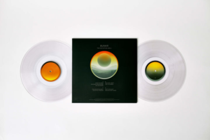 In-Depth Review and Analysis of Bunkr's AlbumHint Insider