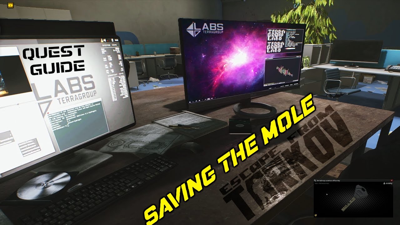 save the mole tarkov